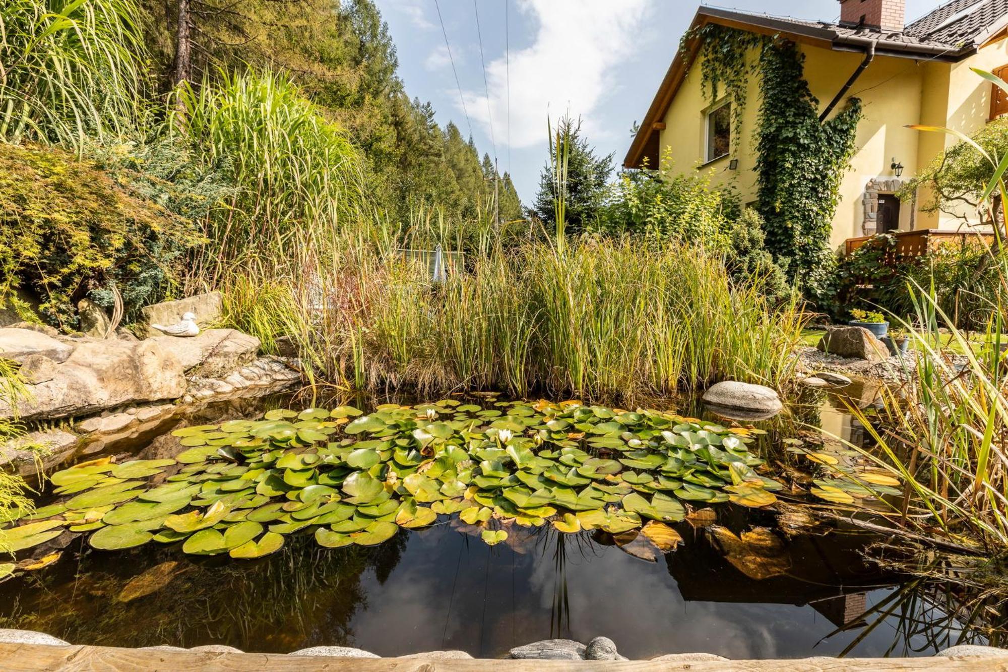 Apartamenty Zielona Owieczka Niedzica Zamek Exterior photo