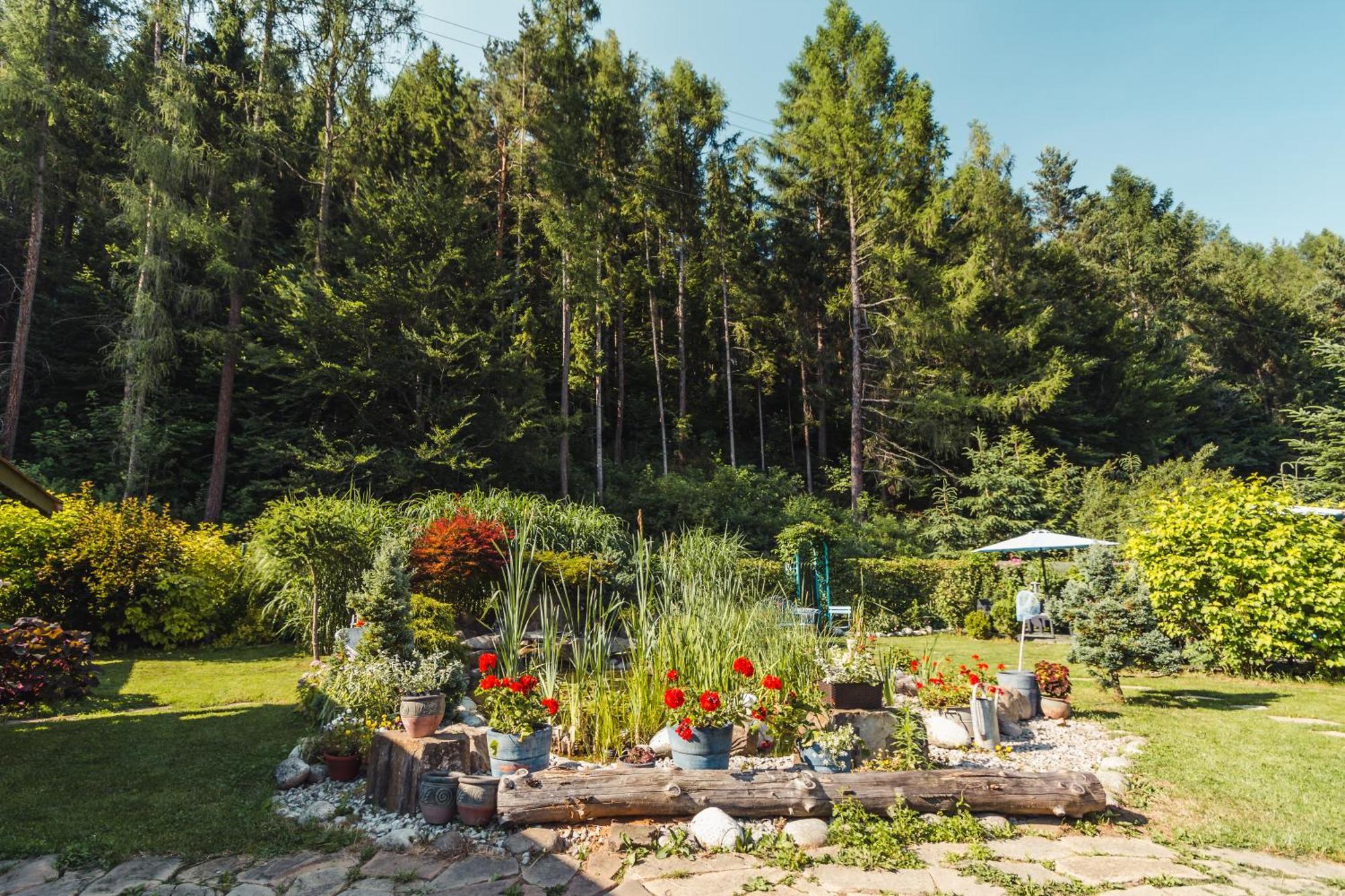Apartamenty Zielona Owieczka Niedzica Zamek Exterior photo